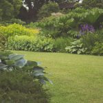 Property Maintenance - Lanscaping and Gardening